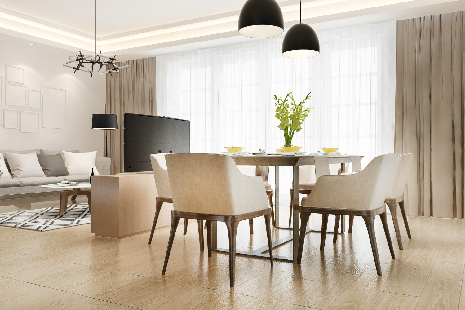 modern dining room and living room